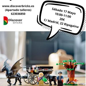 Construye tu Set y llévatelo a casa. Sábado 17 Mayo. Ripagaina