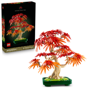 10348 BONSAI DE ARCE ROJO
