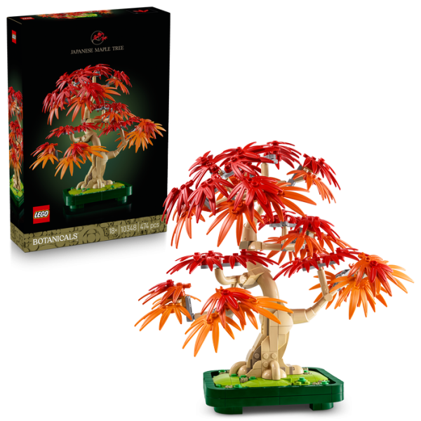 10348 BONSAI DE ARCE ROJO