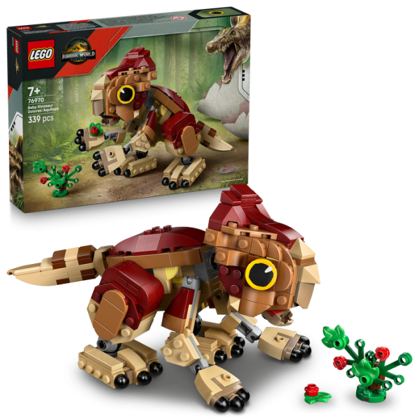 76970 DOLORES BEBE: AQUILOPS