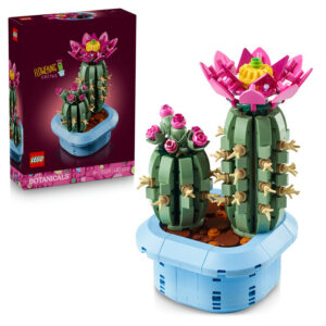 11509 CACTUS EN FLOR