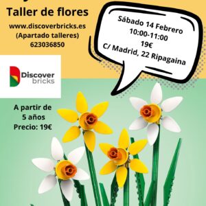 Taller Flores 14 Febrero Ripagaina