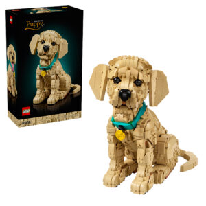 11384 CACHORRO DE GOLDEN RETRIEVER