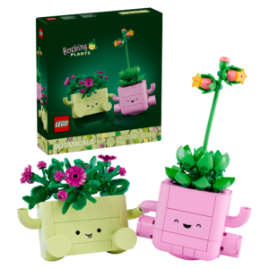 11506 PLANTAS BAILARINAS