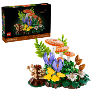 11505 SETAS DEL BOSQUE