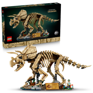 77985 FOSILES DE DINOSAURIO: TRICERATOPS