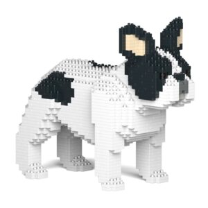 190204: FRENCH BULLDOG
