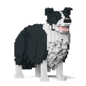 192801 BORDER COLLIE